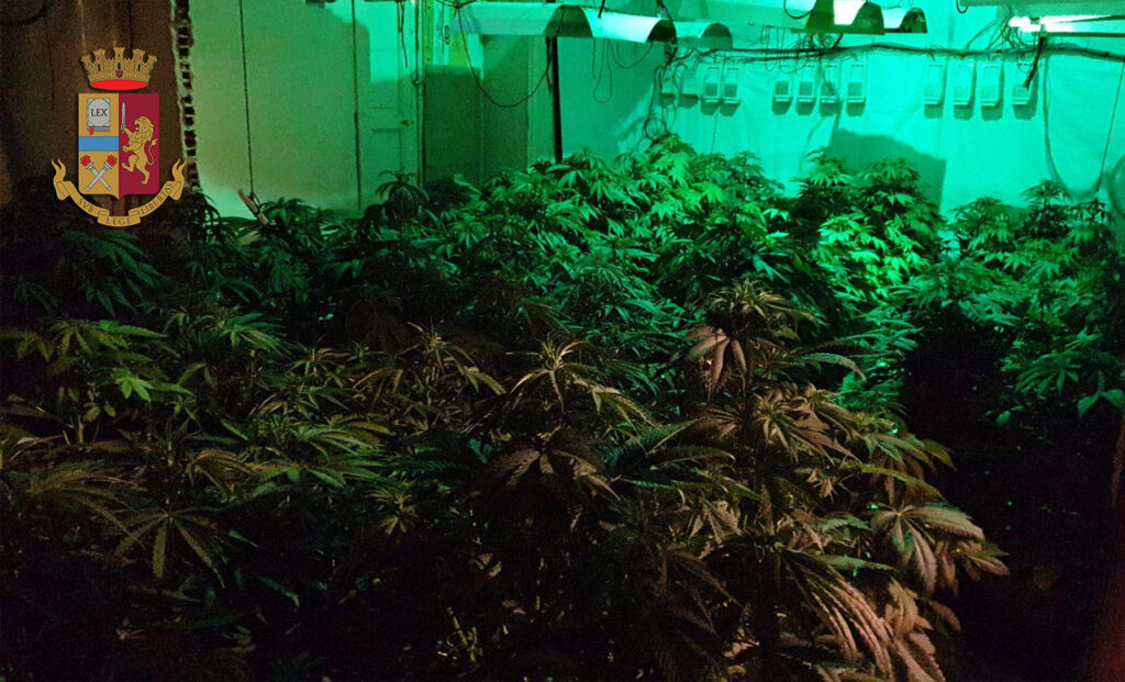 La serra indoor di marijuana scovata dalla polizia
