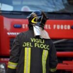 Palermo, fiamme divorano una palma al Villaggio Santa Rosalia: “Esploso un petardo”