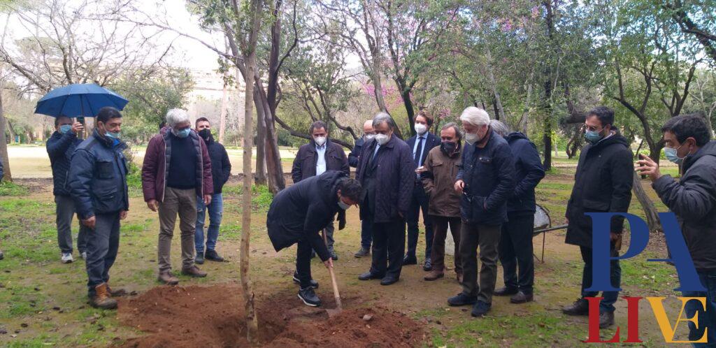 Leoluca Orlando pianta albero a Villa Trabia