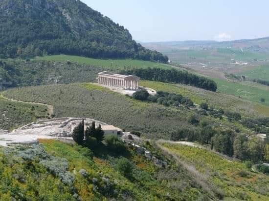 Il Tempio di Segesta 