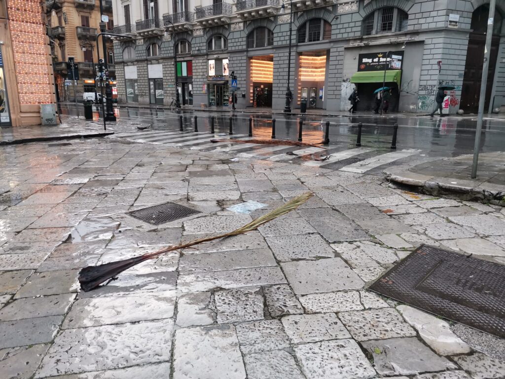 foglie di palma cadute in piazza San Domenico a causa del maltempo
