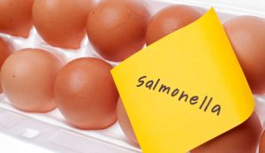 Rischio salmonella (Depositphotos) - palermolive.it