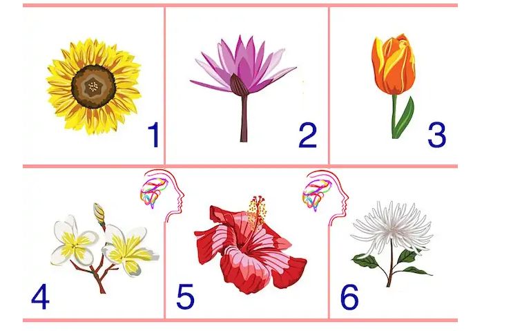 Test psicologico dei 6 fiori da guardare in maniera attenta - fonte Psicoadvisor - PalermoLive.it