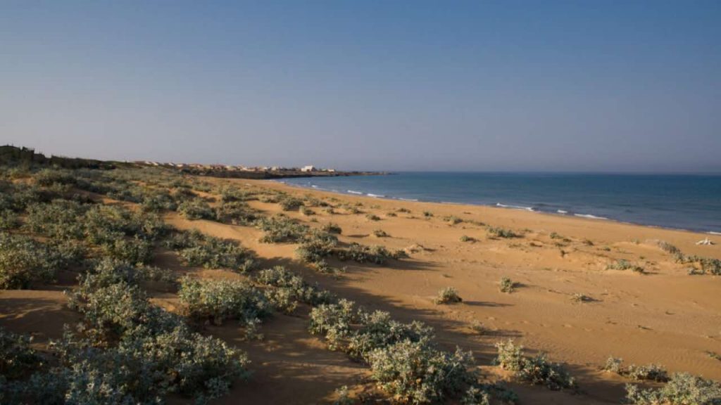 Una delle spiagge più belle d'Italia - fonte_web - palermolive.it