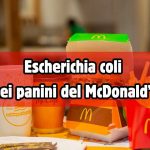 Allarme McDonald’s, travata escherichia coli nel panino: morto un uomo e tanti sono in ospedale | Scoppia il panico