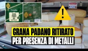 Gran Padano ritirato - Youtube - Palermolive.it