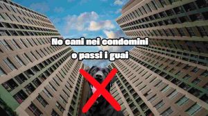 Non puoi tenere i cani in condominio