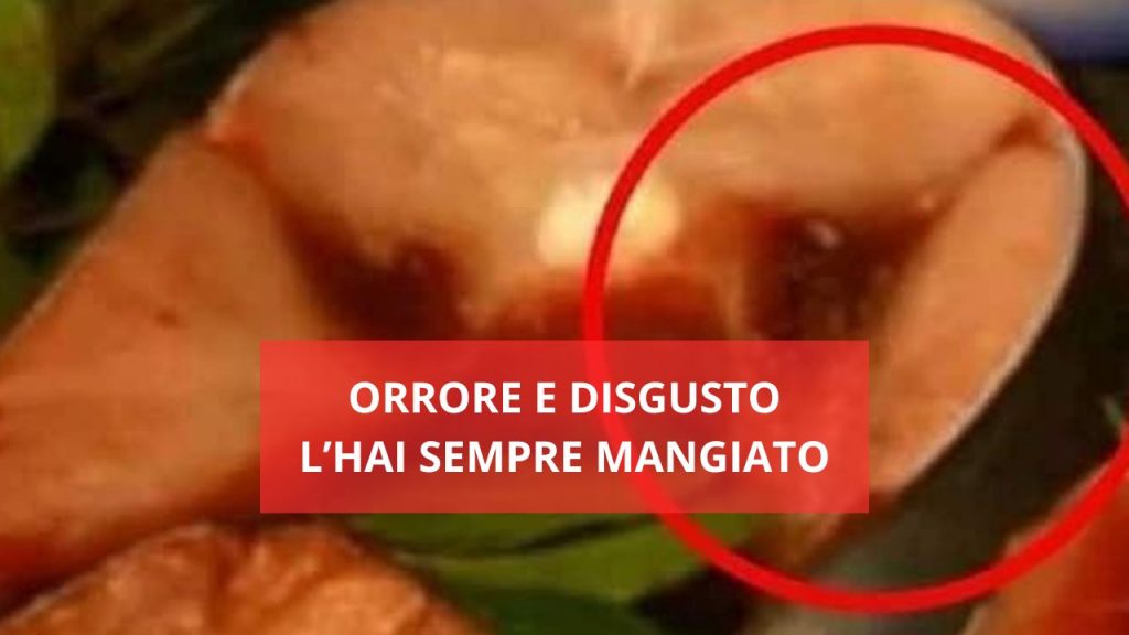 Orrore nel piatto, non l'hai mai saputo