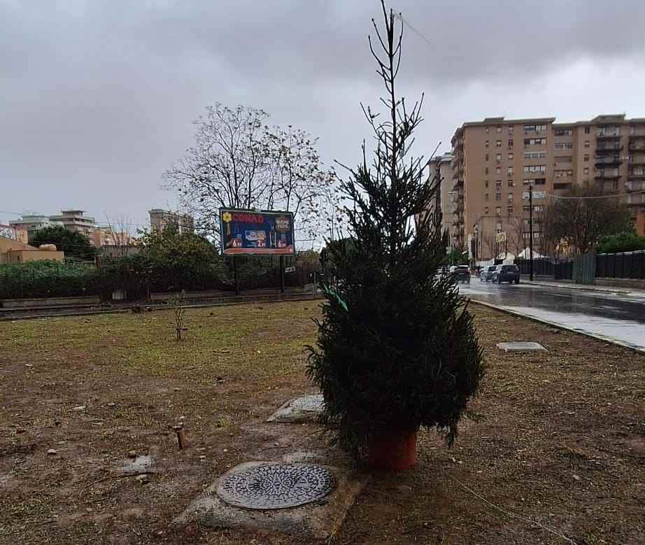 albero di Natale