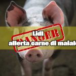 Allarme carne di maiale, quella di Lidl è contaminata: rischi gravi per la salute | Il comunicato e le indicazioni da seguire