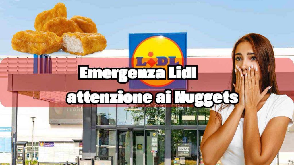 Emergenza Lidl - fonte_Ansa+Corporate - palermolive.it