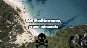 Il nostro mare è diventato pericoloso