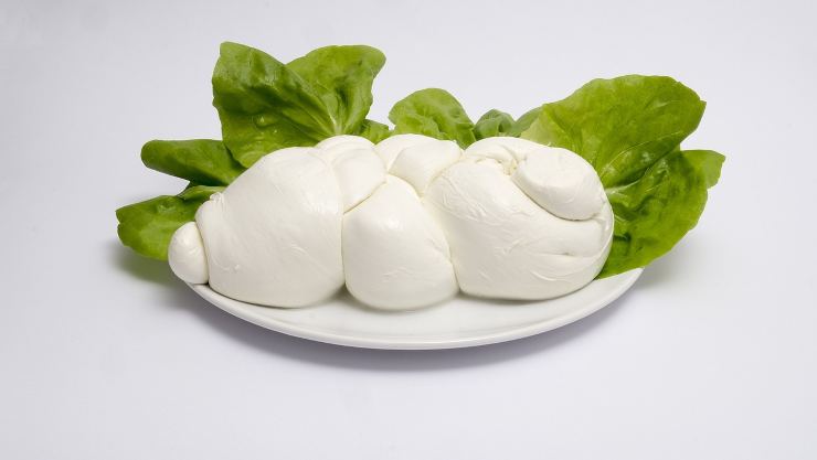 Mozzarella di bufala