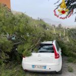 Forte vento su Palermo, auto colpita da un albero in via Castellana